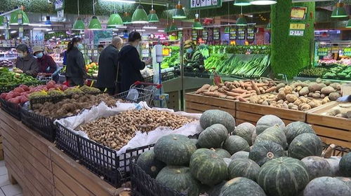 節慶熱潮帶動市場繁榮 日用百貨供需兩旺新圖景