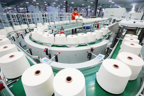 棉紡企業(yè)產(chǎn)銷兩旺，針織品行業(yè)迎來新局